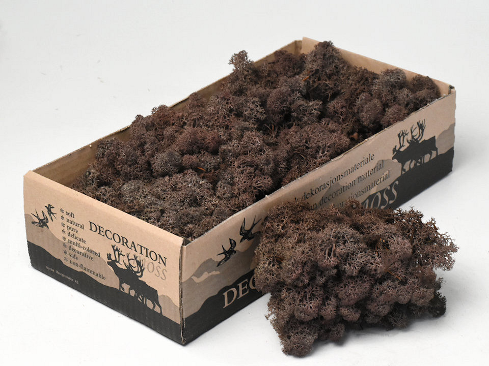Lichen des Rennes marron 500gr.