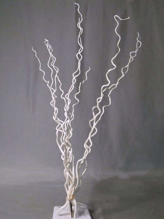 Kuwa gebleekt 115cm