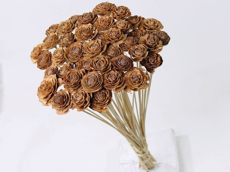 Cedar Rose sur Tige