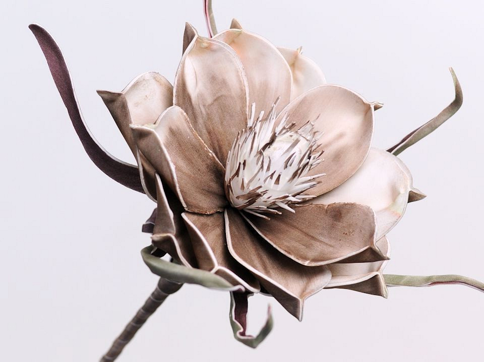 Foam Bloem Mocca, D 20cm