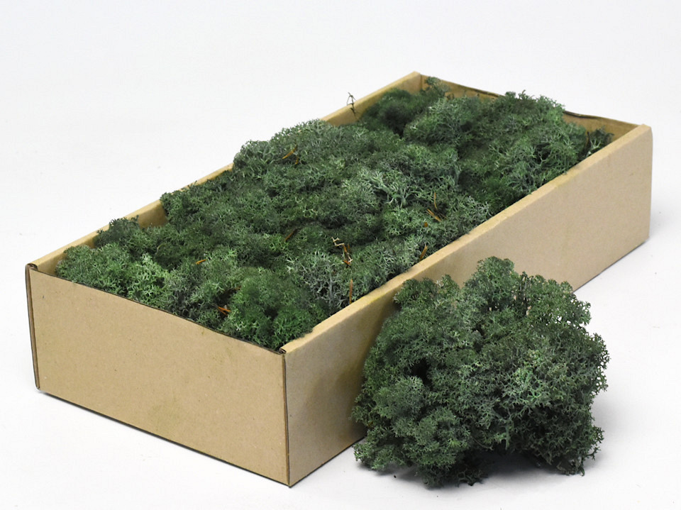 Lichen stabilisé Vert Foncé 500gr.