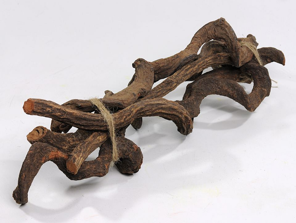 Liaan 50-60cm 3-4cm