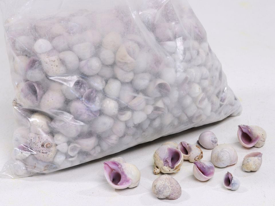 Schelpen Violet 1kg