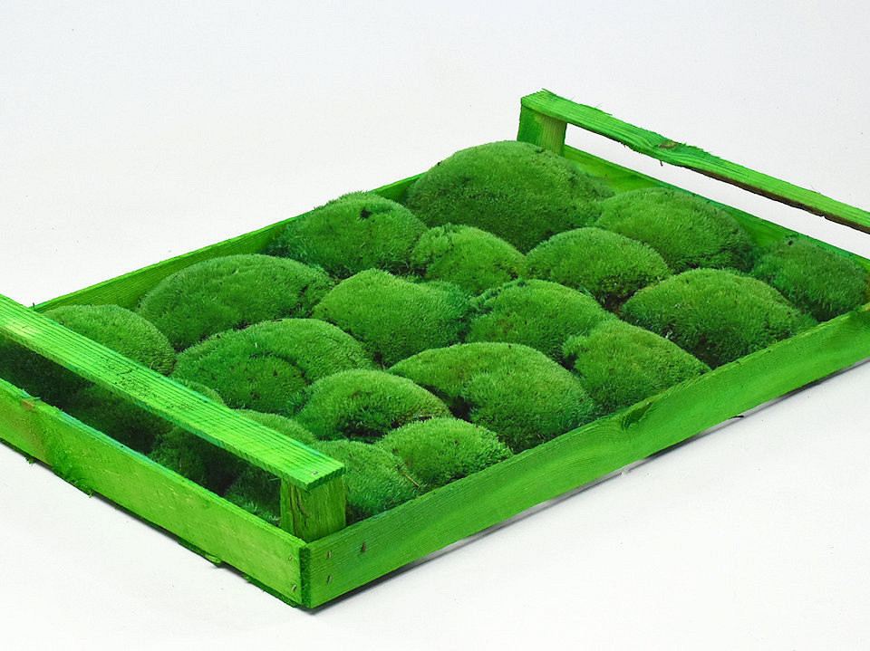 Boule de mousse Vert (Caisse 38x58cm)
