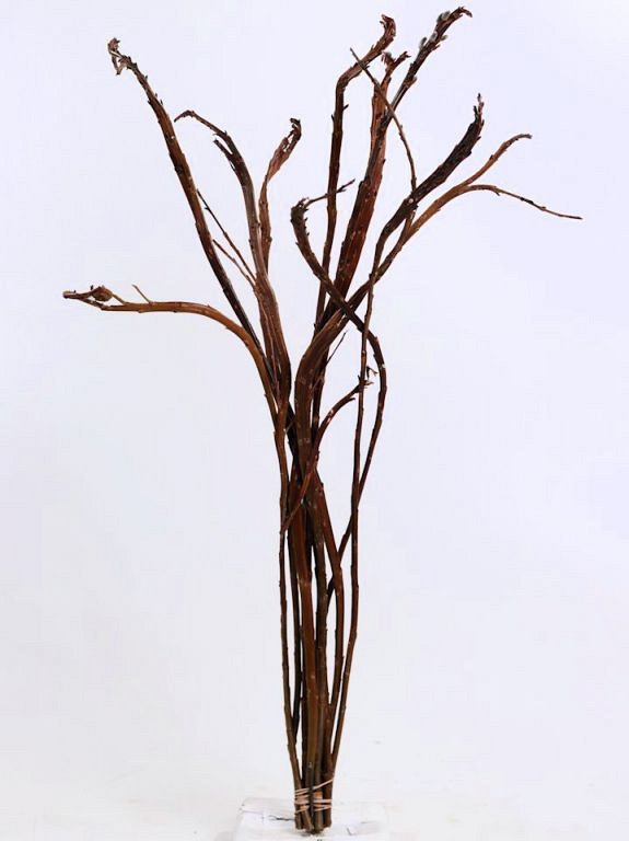 Bandwilg 80cm per tak
