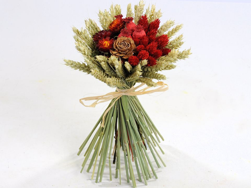Bouquet Séchée d10cm rouge