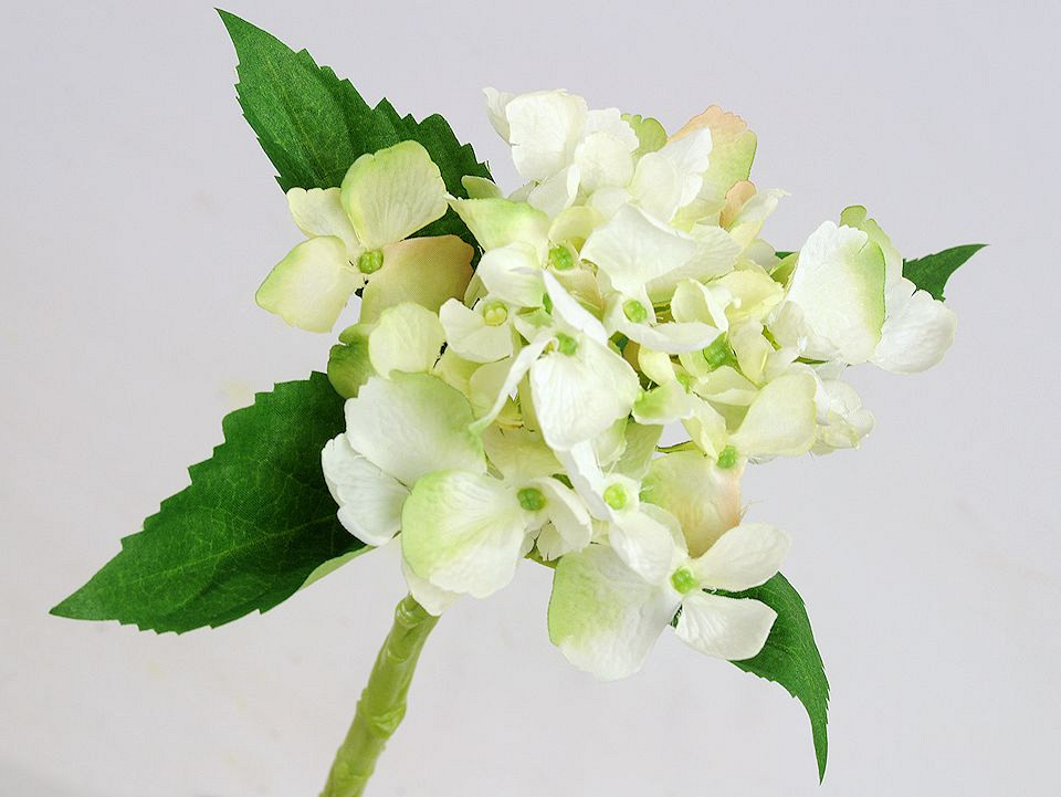 Hortensia 35cm blanc