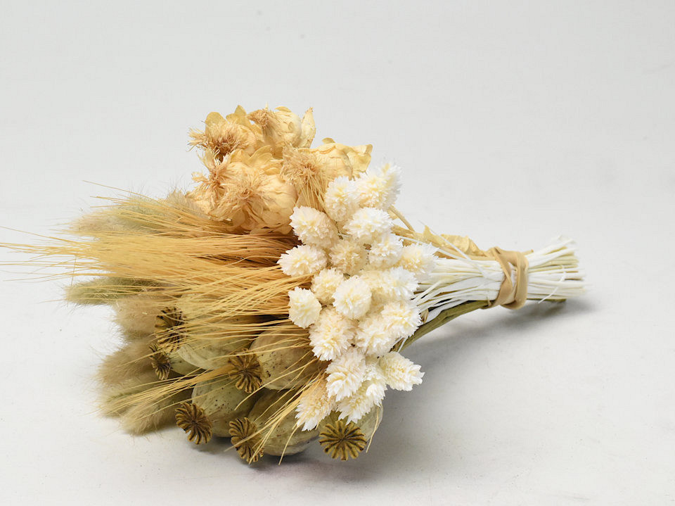 Droogbloemen Boeket Wit Naturel 25cm