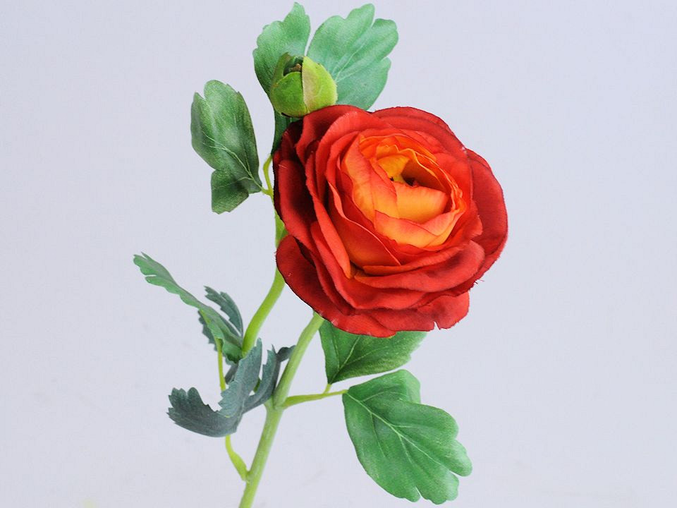Renoncule 43cm rouge