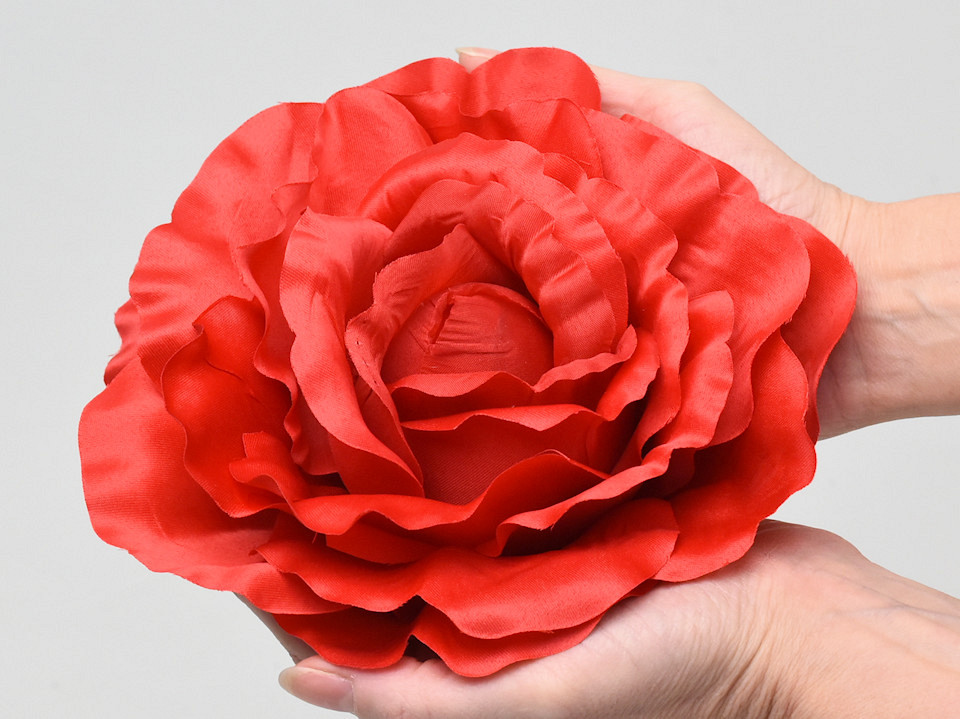 Rose Rouge D21cm