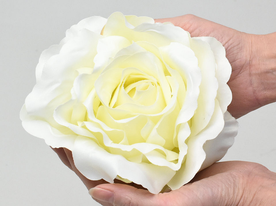 Roos Creme D21cm