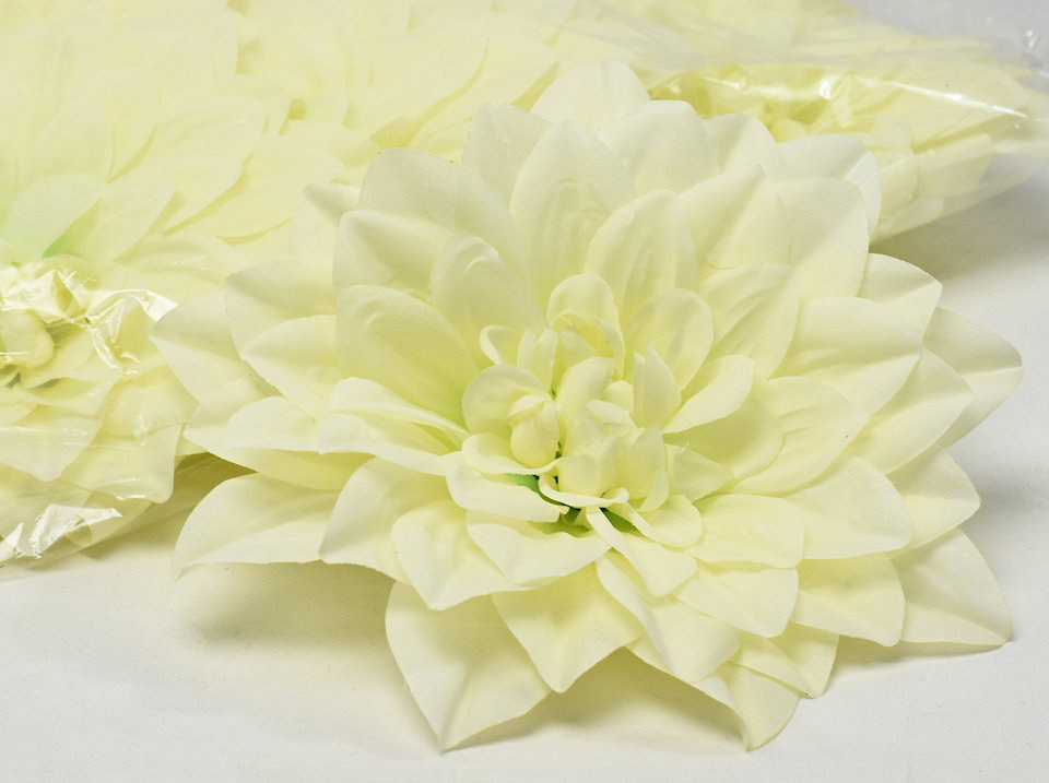 Dahlia Creme/Groen D20cm