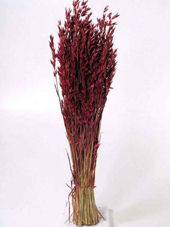 Bouquet Avoine Bordeaux 70cm