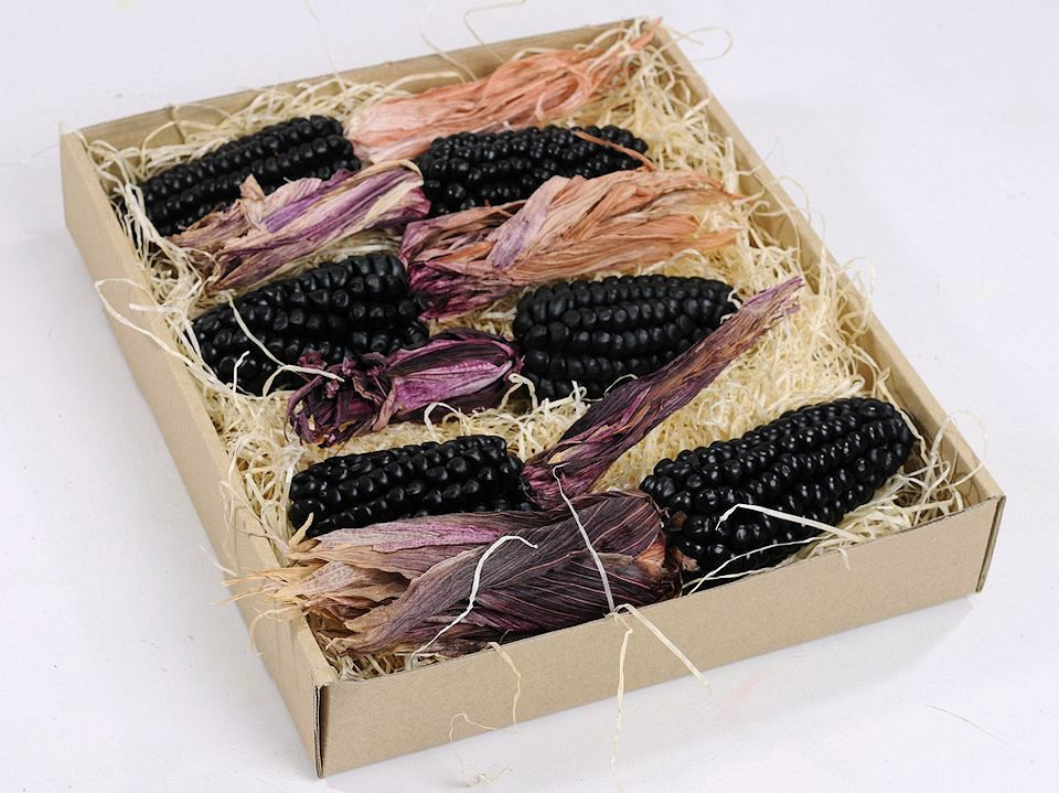 Mais noir Ø4-5cm 6-pack