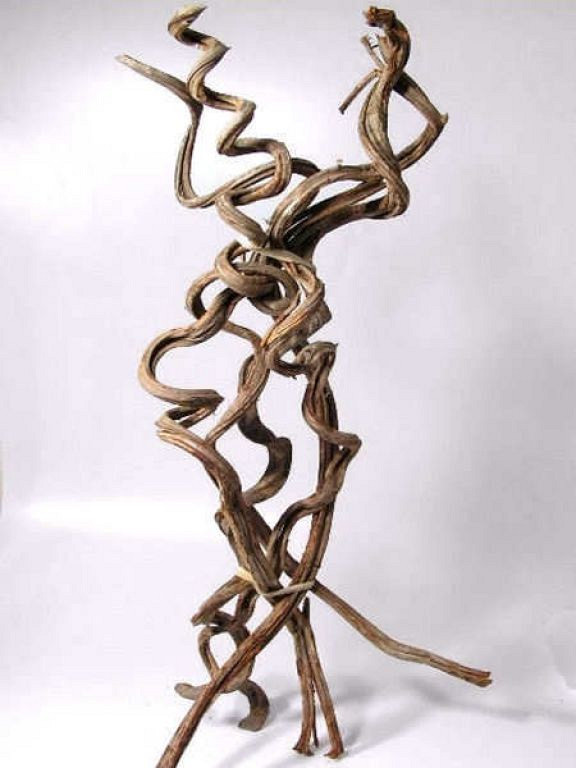 Liaan Cipo Rosca L 100-110cm