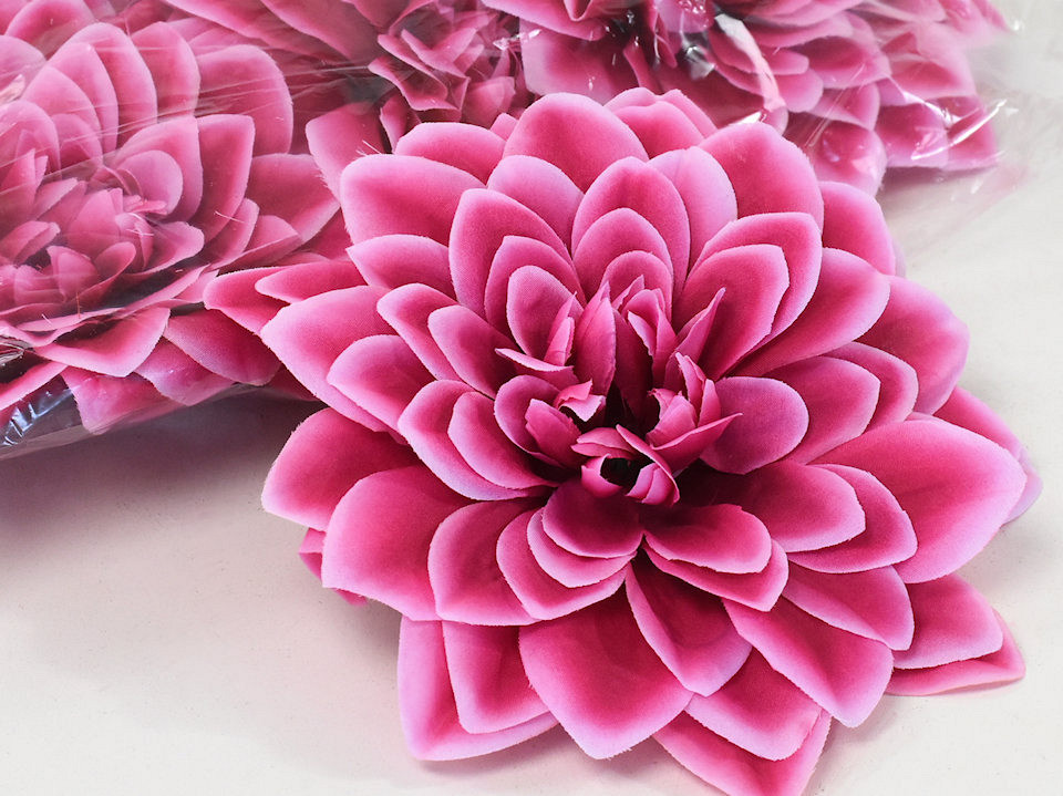 Dahlia Rose/Blanc D20cm 