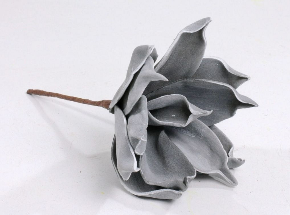 Dracaena 15cm Grey