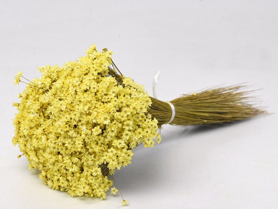 Bouquet Glixia (50gr) Jaune 30cm