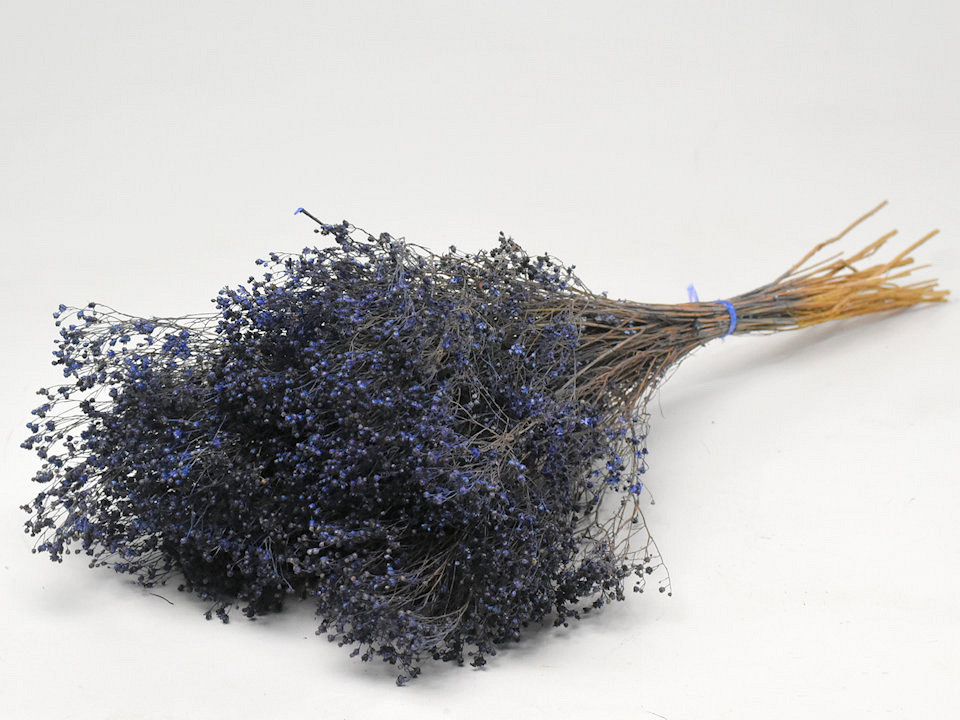 Bouquet Broom Bloom Bleu 50cm