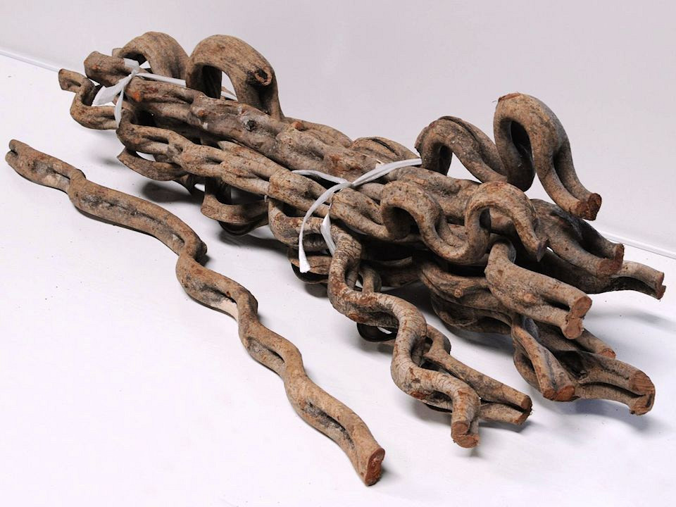 Curved Liaan Vine 90cm