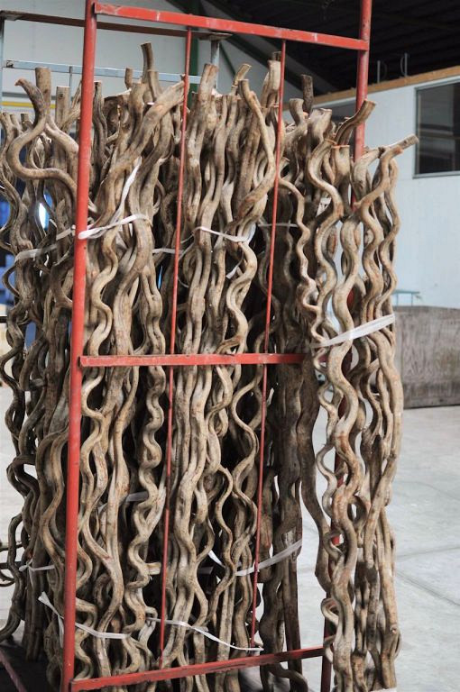 Curved Liaan Vine 2m