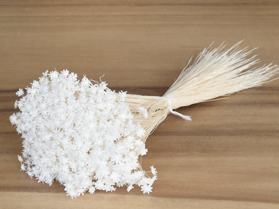 Bouquet Glixia (50gr) Blanchi 45cm