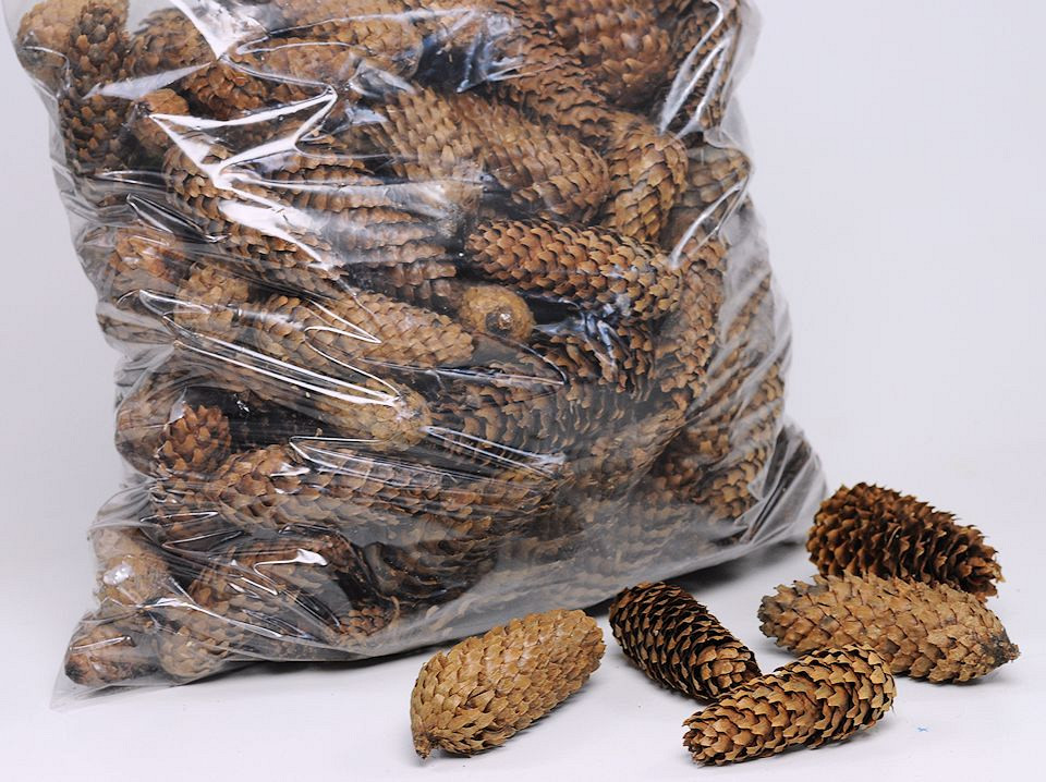 Fijnspar Dennenappels 5 kilo