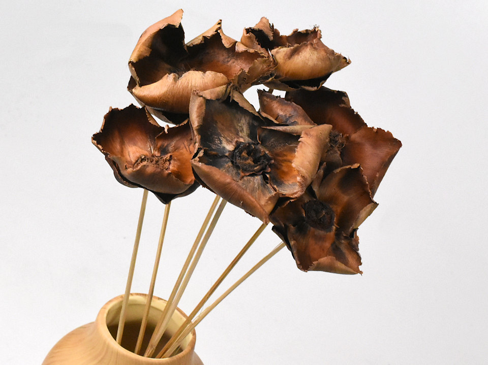 Palm Cup par tige 50cm 