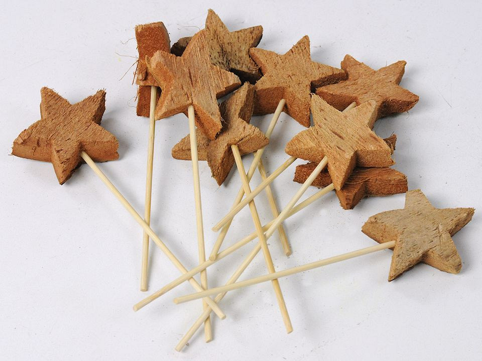 Coconut star on 12cm Stem