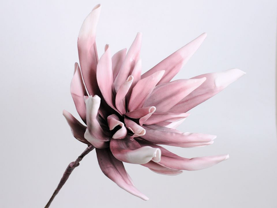 Foam Agave 80cm vieux rose