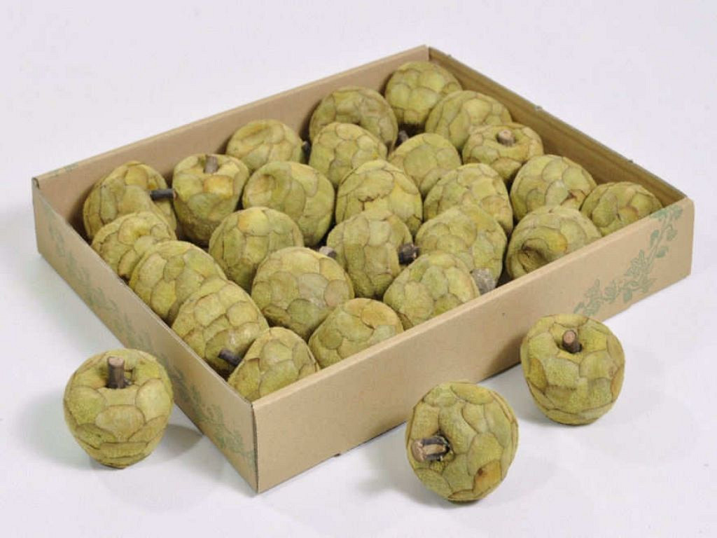 Pana Appel 6cm 25-Pack