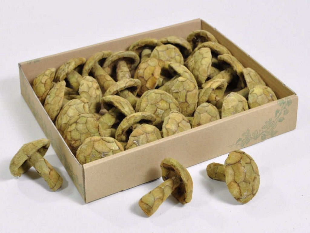 Pana Paddestoel 6-8cm 30-Pack