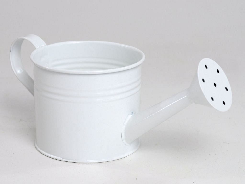 Planter Watering Can D10cm Blanc