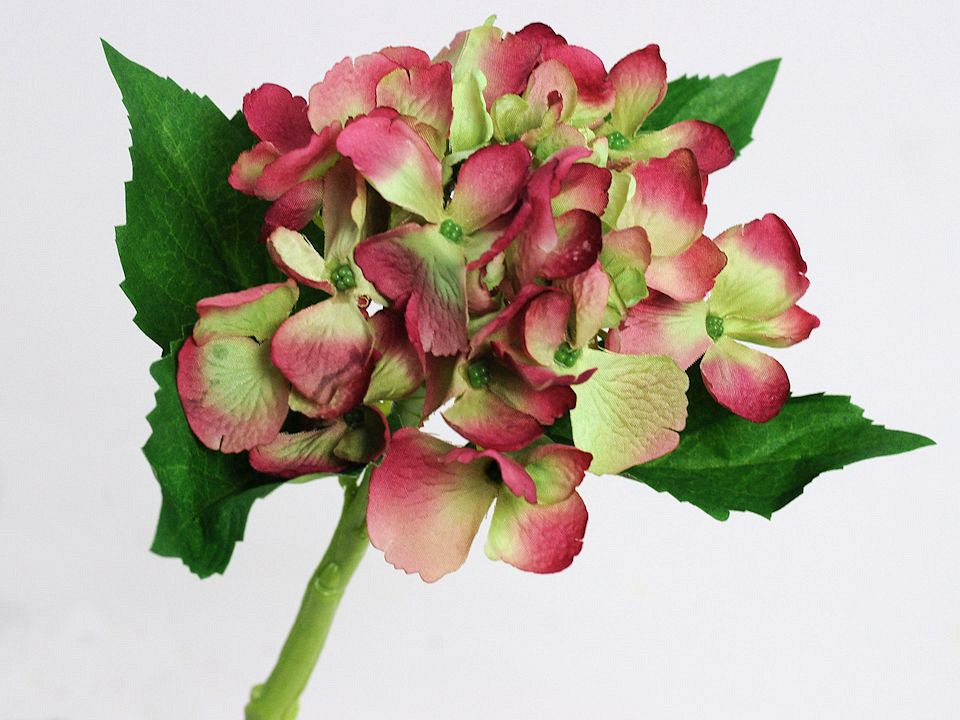 Hortensia 35cm rose-vert
