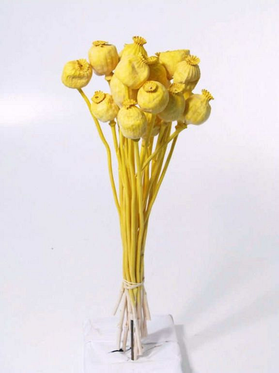 Bouquet Pavot Jaune Vif