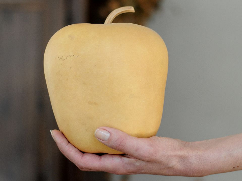 Calabash Apple 16cm