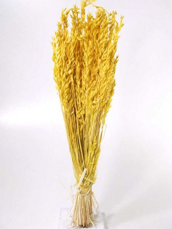 Bouquet Avoine Jaune Clair 70cm