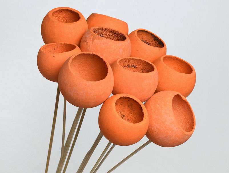 Bell Cup Orange (10 pcs