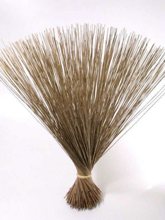 Pan Reed 75cm 1kg