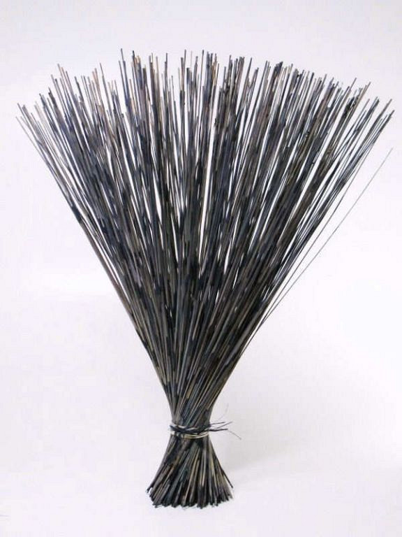 Reed Cane Blauw 75cm