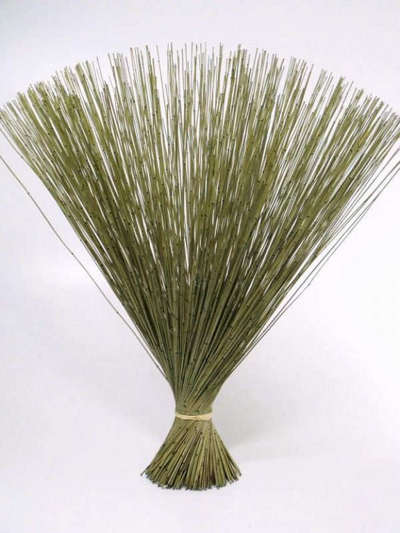 Bouquet Reed Cane Vert 75cm