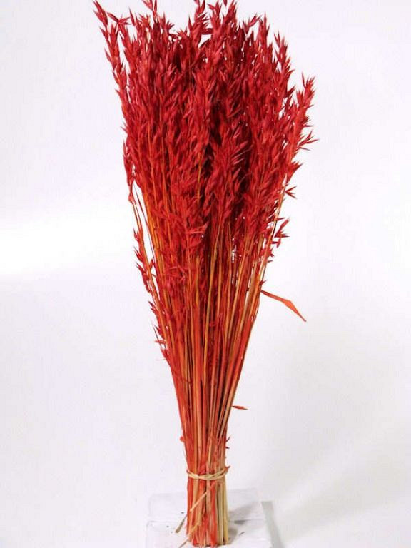 Bouquet Avoine Rouge Clair 70cm