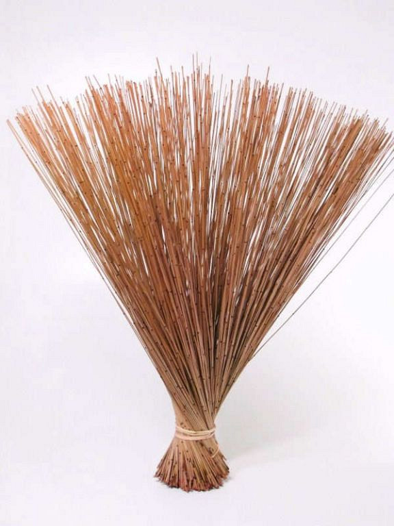 Reed Cane Zalm-roze 75cm