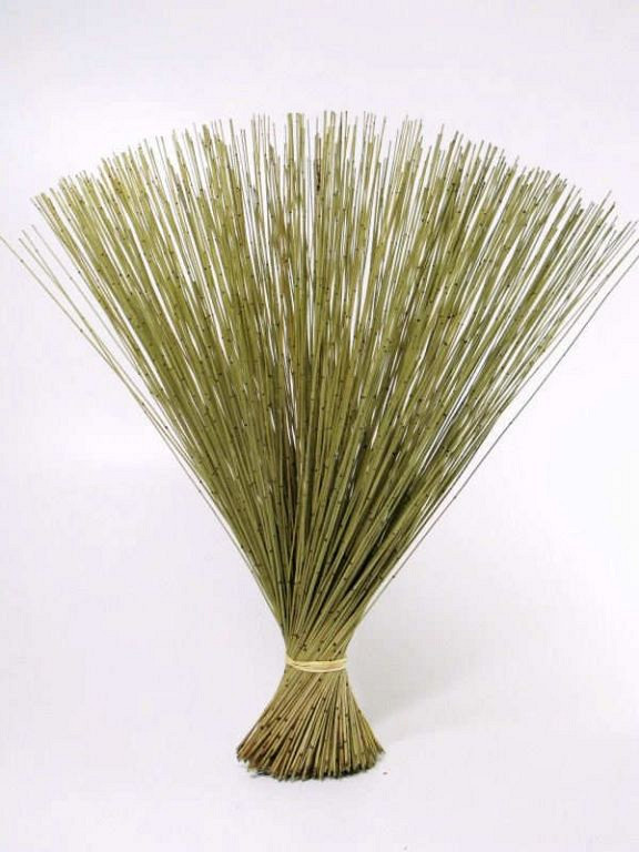 Bouquet Reed Cane Vert Clair 75cm