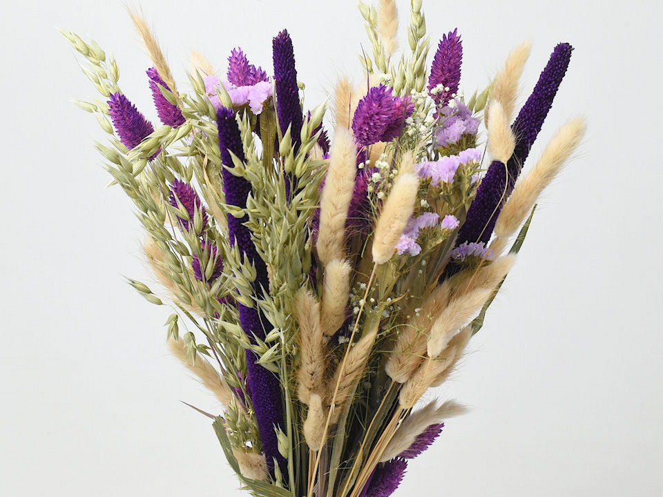 Droogbloemen Boeket Paars Naturel 55cm