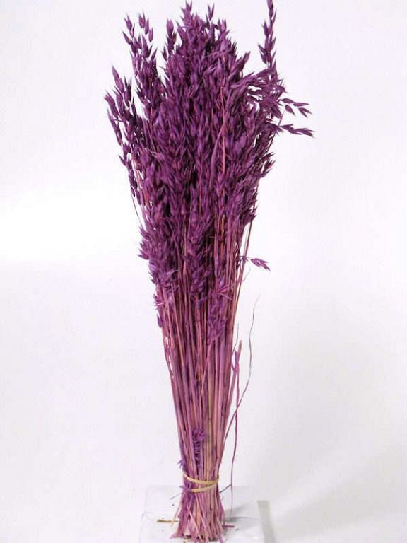 Bouquet Avoine Violet Clair 70cm