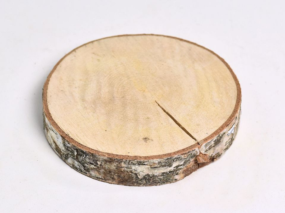 Berkenschijf 20cm