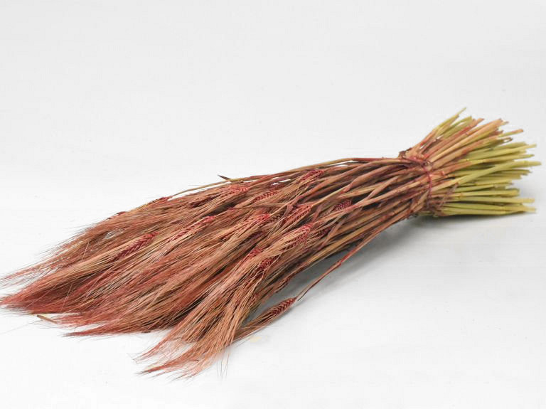 Bouquet Orge Rouge 70cm