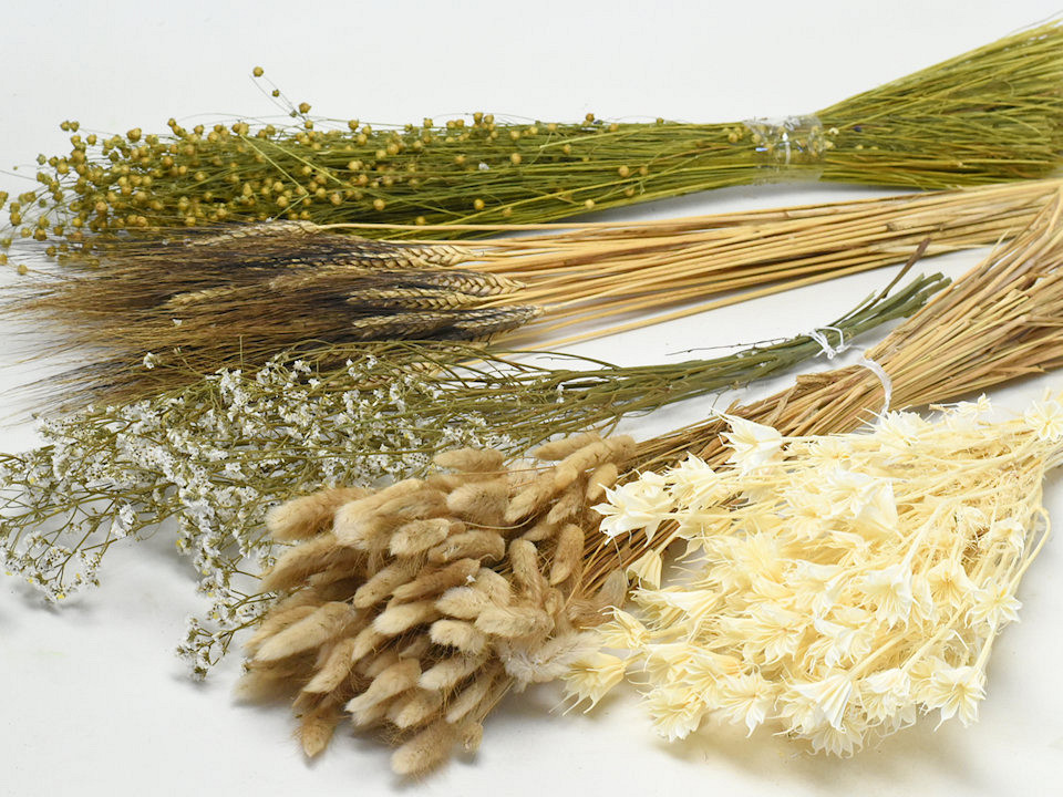 DIY Droogbloemen Boeket Natural/Wit XL
