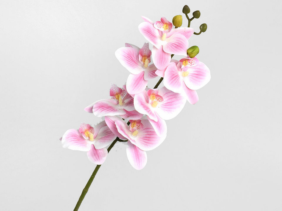Kunst Orchidee Roze/Crème 73cm